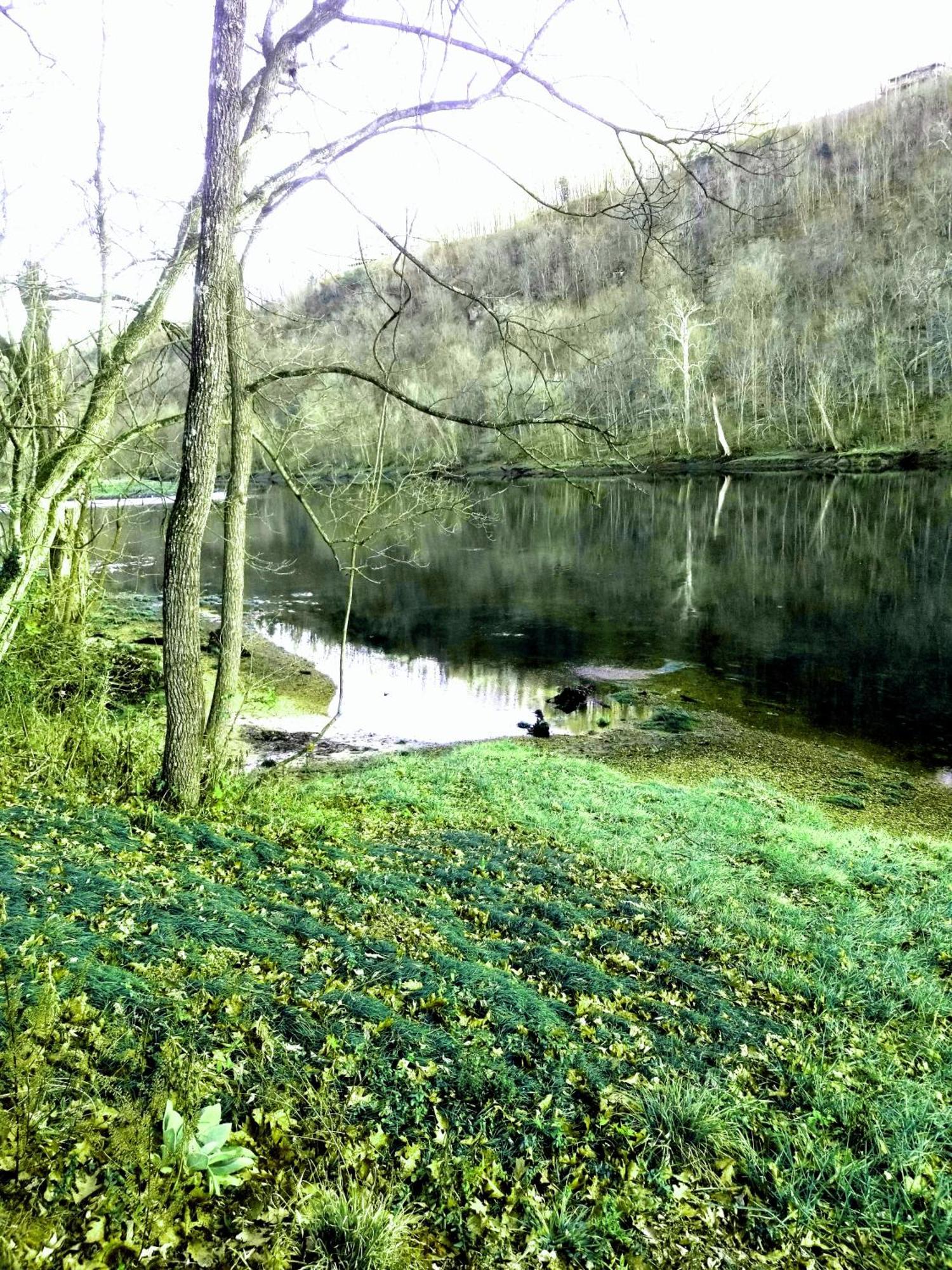 White River Resort Rv Rentals Lakeview Esterno foto